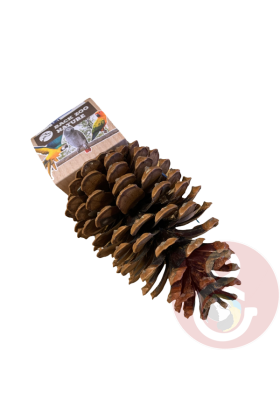 Deze Foraging Pine Cone van Back Zoo Nature daagt jouw kromsnavel uit om met natuurlijk gedag op zoek te gaan naar voedsel.
