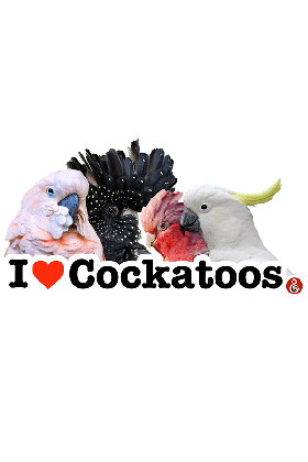 Koelkastmagneet I love Cockatoos
