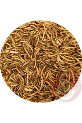Deze meelwormen zijn bedoeld als bijvoeding en kunnen niet ontbreken in het dieet van jouw vogel. Meelwormen zijn met een voedingswaarde van 50% een rijke bron aan eiwitten.