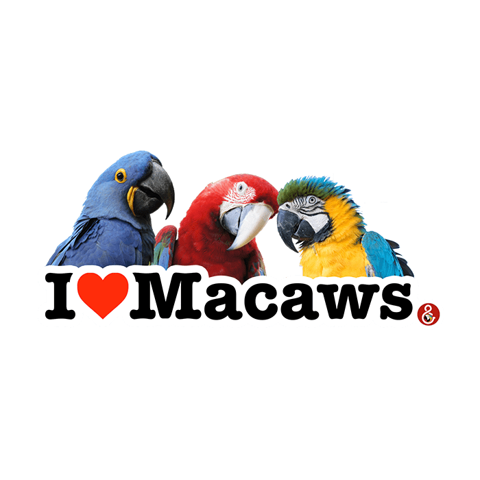 Koelkastmagneet I Love Macaws