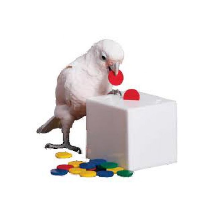 Papegaaiachtigen staan erom bekend dat ze het leuk vinden om dingen ergens in te stoppen. De Zoo-Max Teach Box & Bank is daarom een goed spel om met trainen te beginnen.